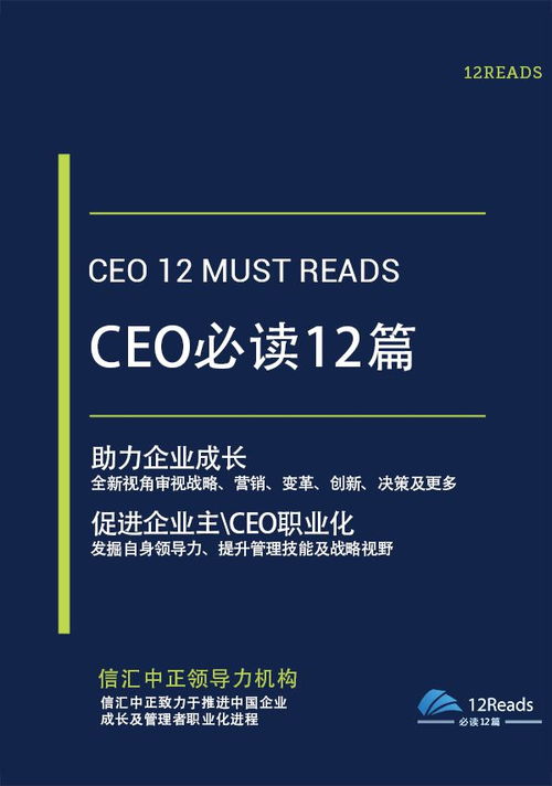 企業(yè)管理經(jīng)典書籍推薦 計(jì)算機(jī)系統(tǒng)服務(wù)行業(yè)的領(lǐng)導(dǎo)力與實(shí)踐指南