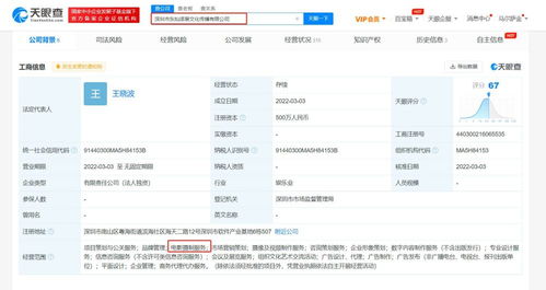 項(xiàng)目策劃與公關(guān)服務(wù) 從構(gòu)想到影響力的系統(tǒng)化解決方案